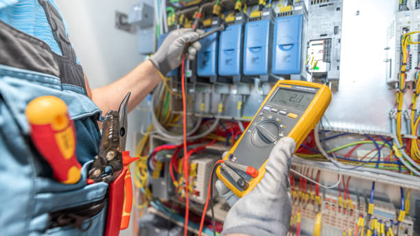 Best Electric Panel Repair  in Mammoth, AZ